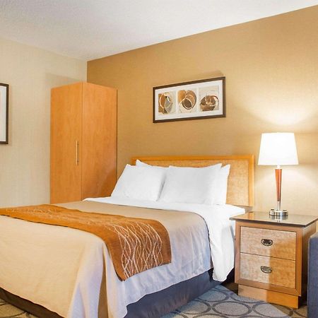 בראנטפורד Comfort Inn מראה חיצוני תמונה