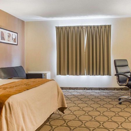 בראנטפורד Comfort Inn מראה חיצוני תמונה
